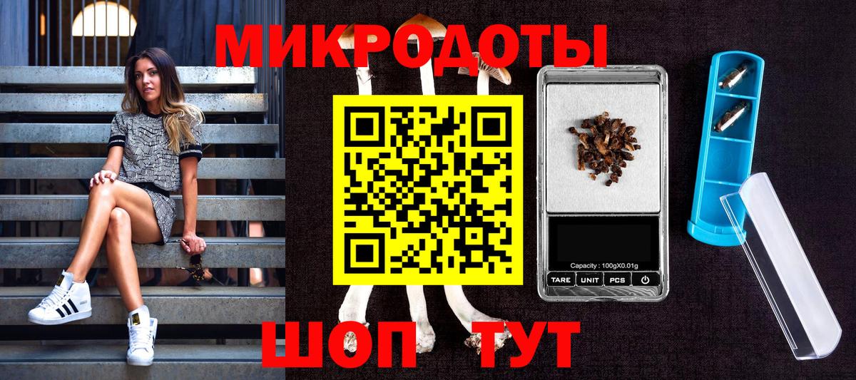 Переславль-Залесский  Псилоцибиновые грибы MAGIC MUSHROOMS  Вход с VPN 