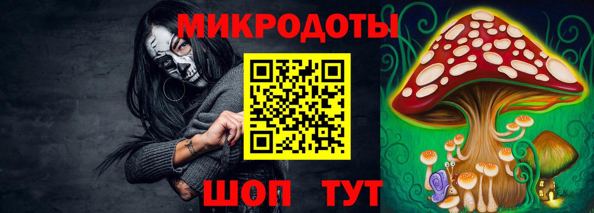 Галлюциногенные грибы Psilocybe Переславль-Залесский